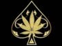 ace ultra premium logo